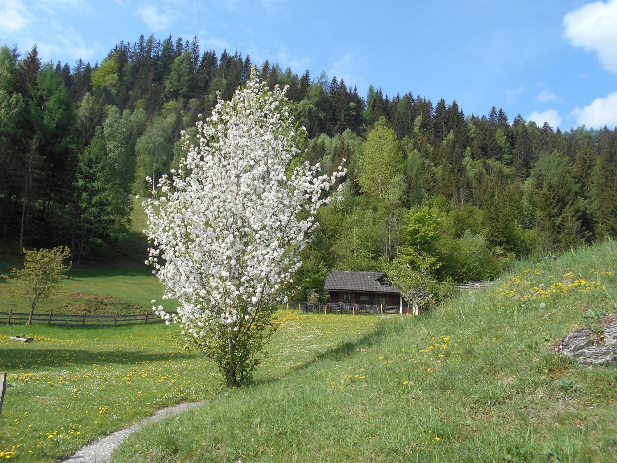 Katsch an der MurUmundumhuette别墅 外观 照片
