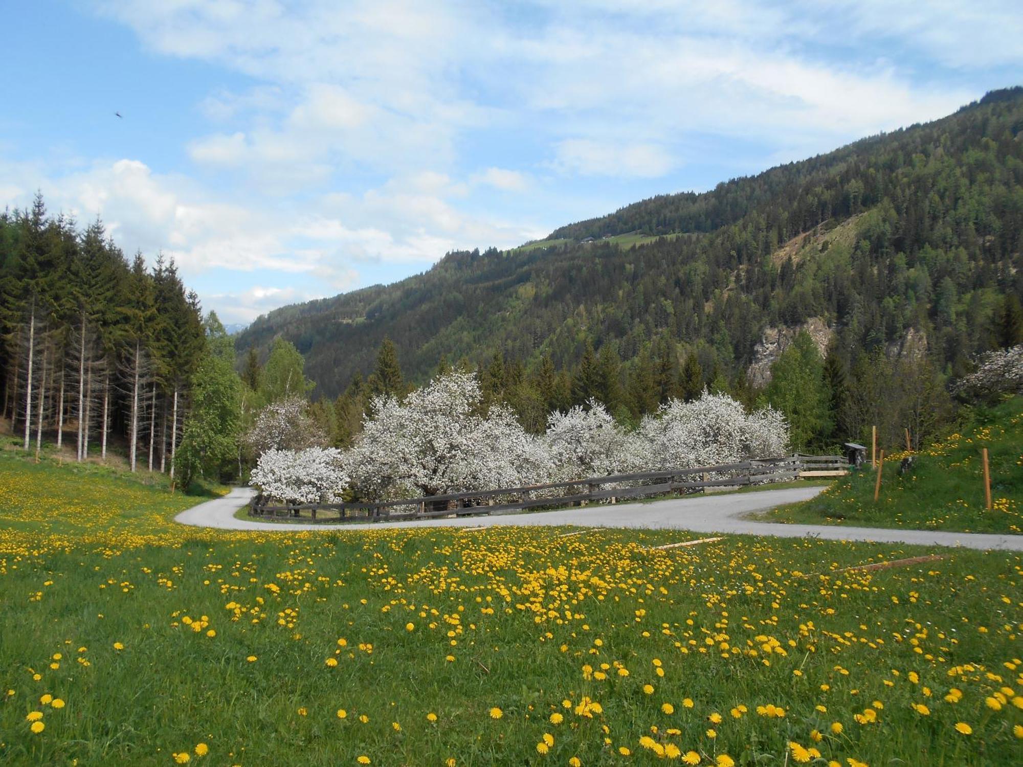 Katsch an der MurUmundumhuette别墅 外观 照片