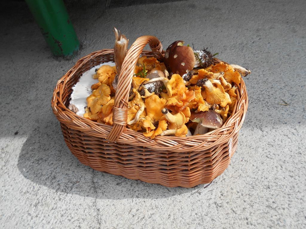 Katsch an der MurUmundumhuette别墅 外观 照片